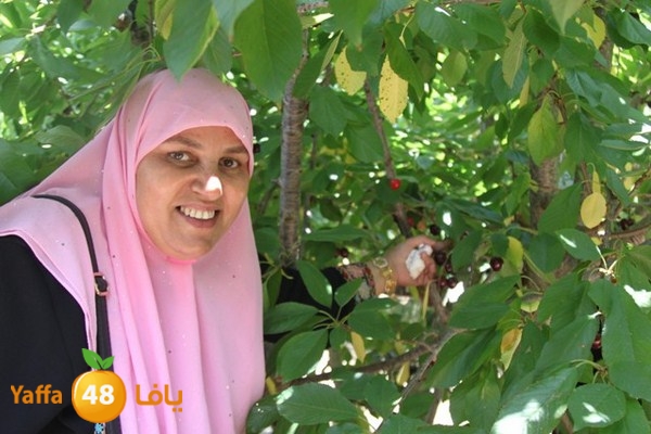 bayareq re7la shamal 0612 (47).JPG